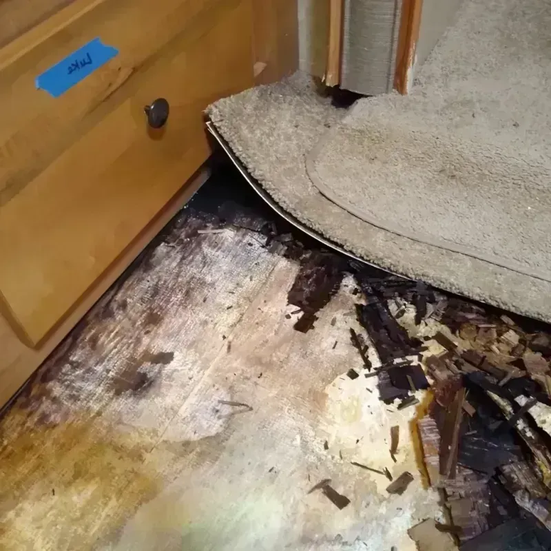 Wood Floor Water Damage in Clear Lake, IA